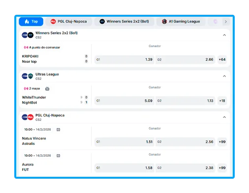 Elegir el partido más adecuado.